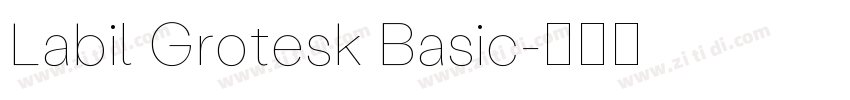 Labil Grotesk Basic字体转换